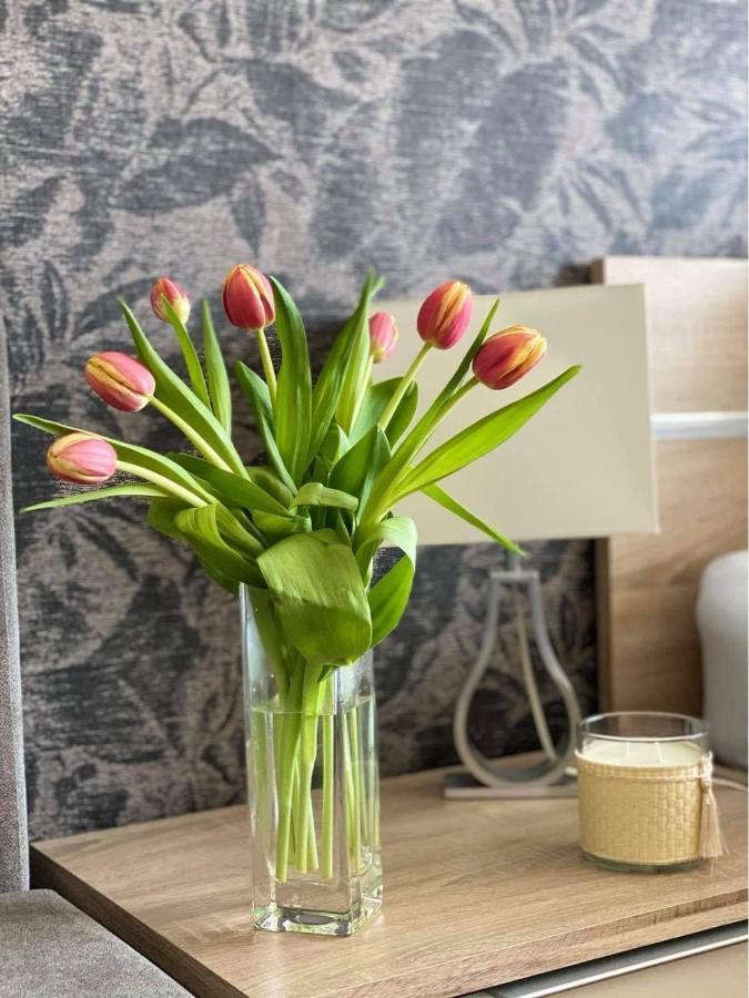 Lake And Spa Apartman Velence Esterno foto